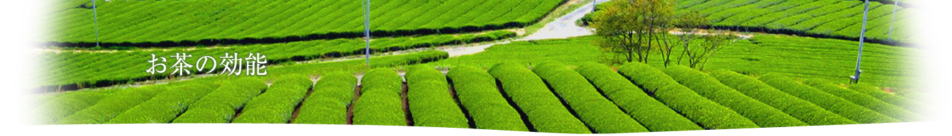 お茶の効能